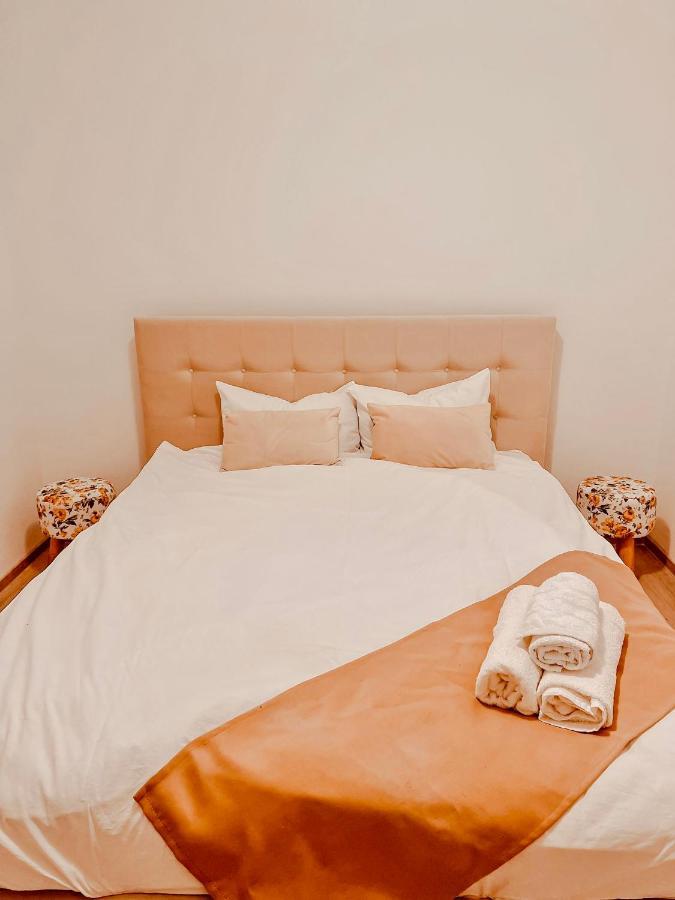 Lovely Apartment In A Quiet Area - Spitalul Judetean L5 ティミショアラ エクステリア 写真